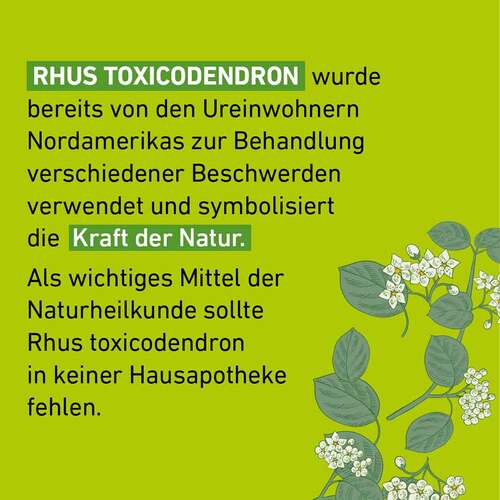 Rhus Toxicodendronicodendron D 12 Globuli Pfl&uuml;ger Globulisp. - 4
