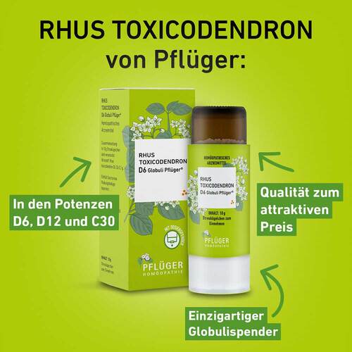 Rhus Toxicodendronicodendron C 30 Globuli Pfl&uuml;ger Globulisp. - 2