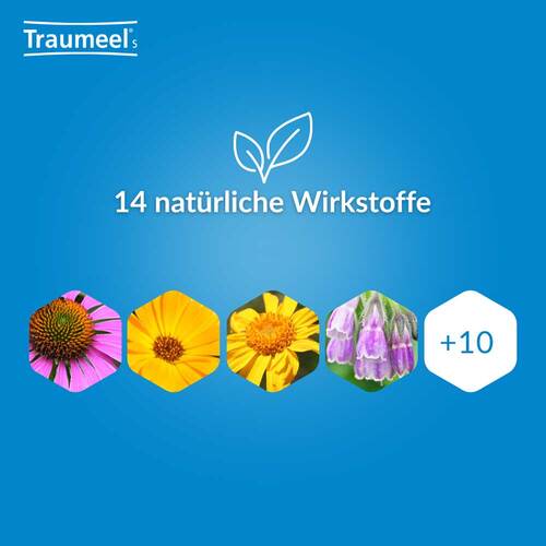 Traumeel S Gel - 3
